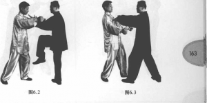 图片181
