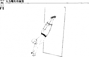 图片91
