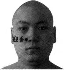 图片12