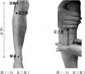 图片23