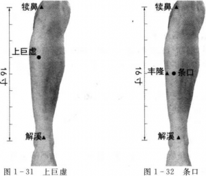 图片24