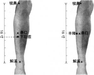 图片25