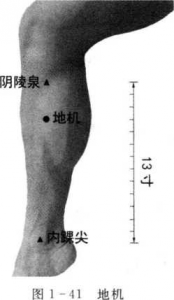 图片31