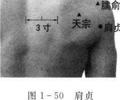 图片39