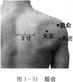 图片40