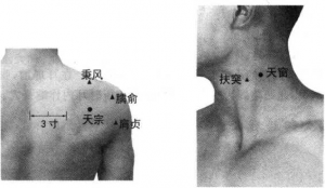 图片41