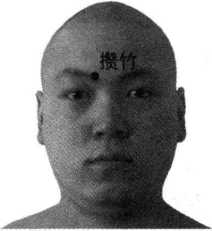 图片44