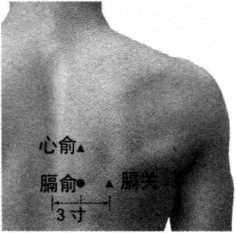 图片48