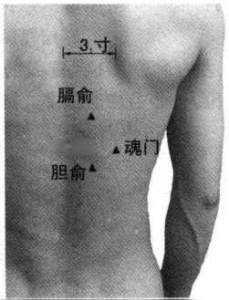 图片49