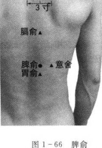 图片51