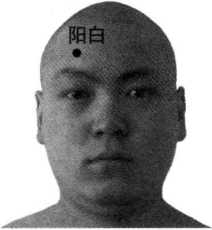 图片73