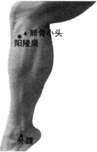图片82