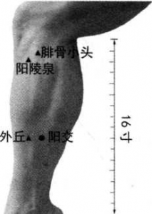 图片83