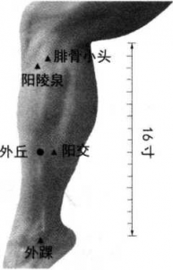 图片84