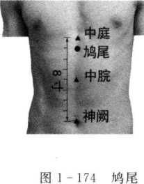 图片104