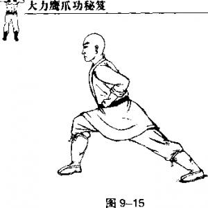 图片15
