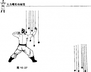 图片209