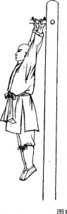 图片12