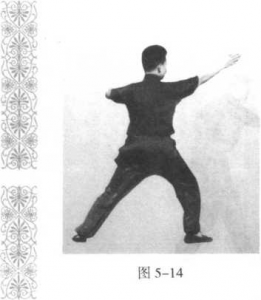图片84
