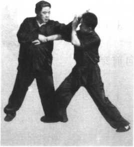 图片12