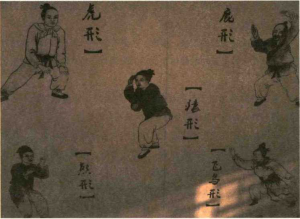 图片6