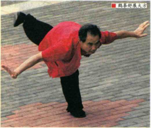 图片45