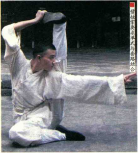 图片65