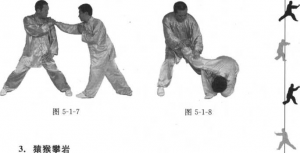 图片143