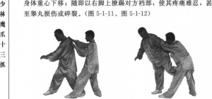 图片146