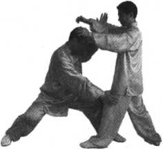 图片155