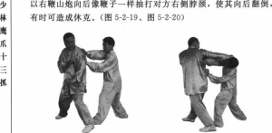 图片166