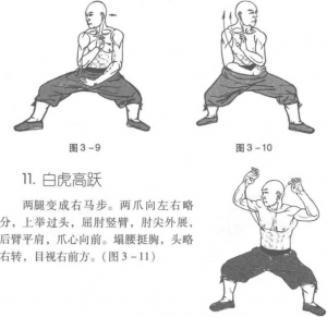 图片29