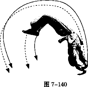 图片161