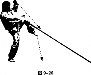 图片254