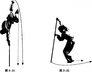 图片259