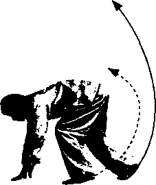图片271