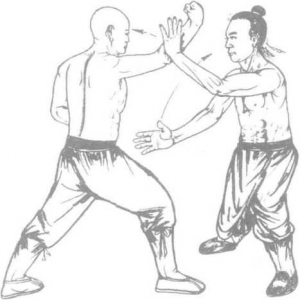 图片147