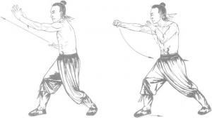图片156