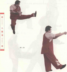 图片23