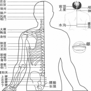 图片8
