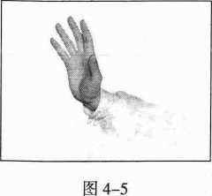 图片5