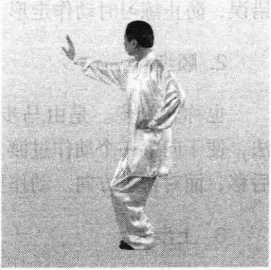 图片12