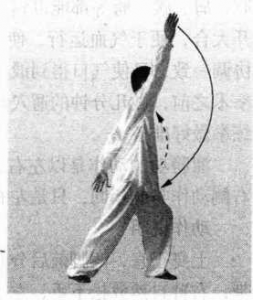 图片19