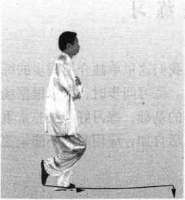 图片28