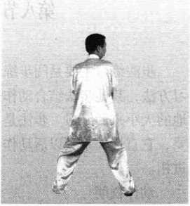 图片29