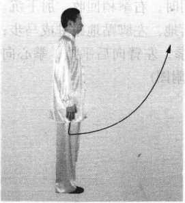 图片40