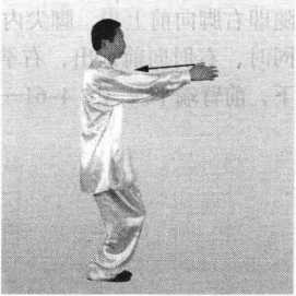 图片41
