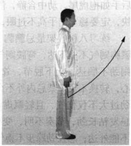 图片46