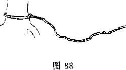 图片169