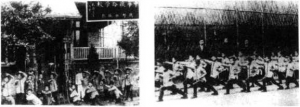 图片20